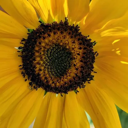 Beachfront Private At Kalais - Stunning Sea & Sunset Views, Bus Stop Outside, Easy Naxos Town Access, Free Chairs Pláka
