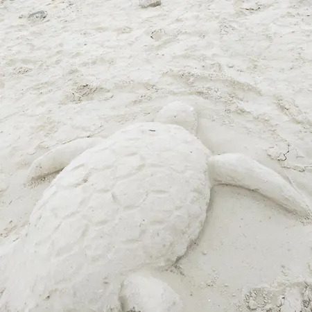 Kalais Beachfront Private Suites - Stunning Sea & Sunset Views, Bus Stop Outside, 12-Minute Drive From Naxos Town, Free Beach Chairs - Escape To Elysium Appartement Pláka