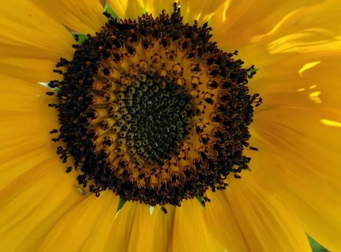 Kalais Beachfront Private Suites - Stunning Sea & Sunset Views, Bus Stop Outside, 12-Minute Drive From Naxos Town, Free Beach Chairs - Escape To Elysium Pláka